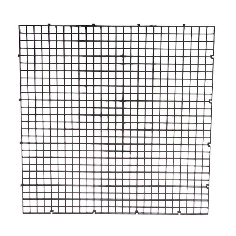 Aquarium Fish Eggs - Peixe para divisor tanque caixa plástico