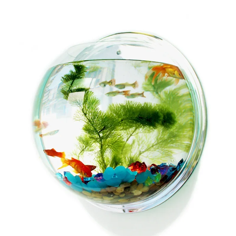 Aquarium Fish Background - Pinsjar acrílico tigela de peixes parede