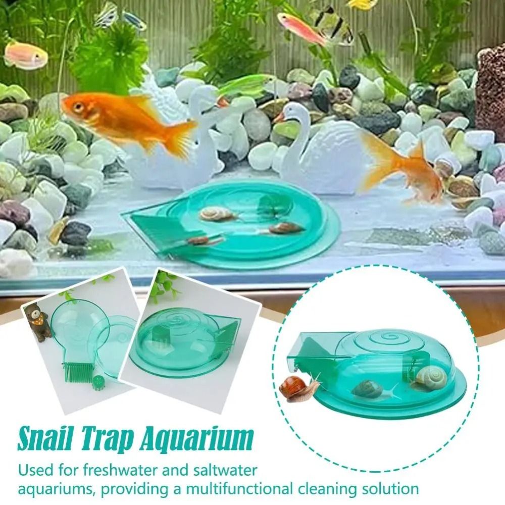 Aquarium Fish Eggs - Armadilha para Caracóis de Aquário de