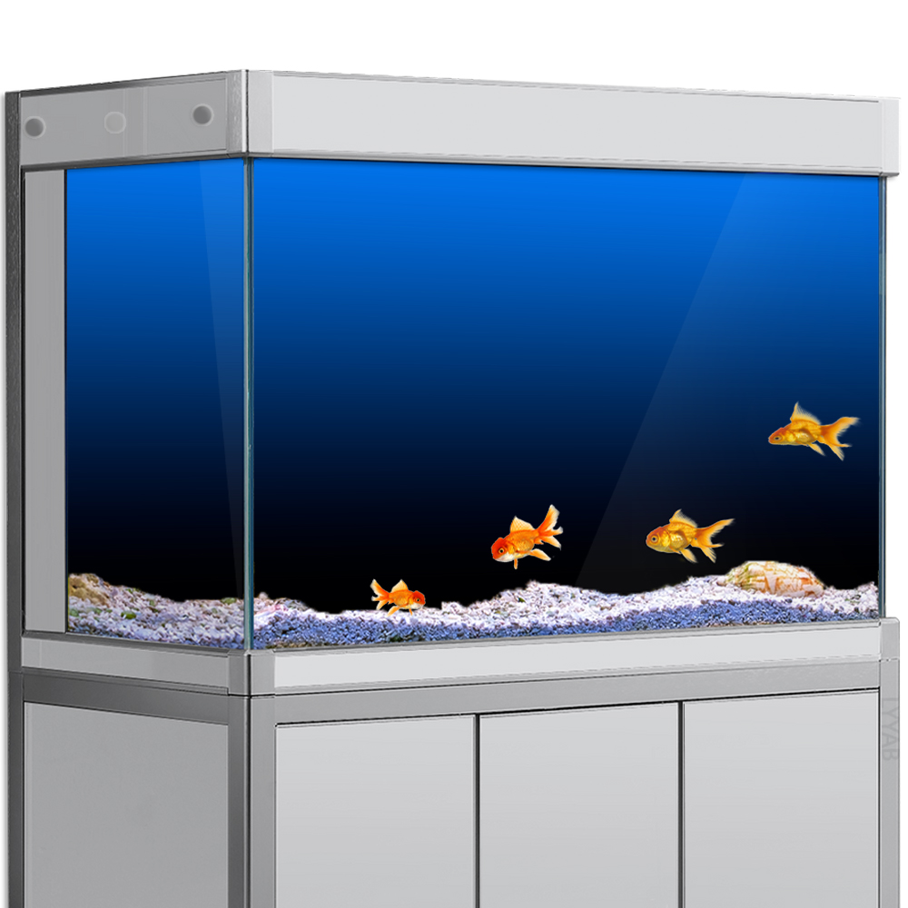 Aquarium Fish Background - Adesivo de fundo para tanque de