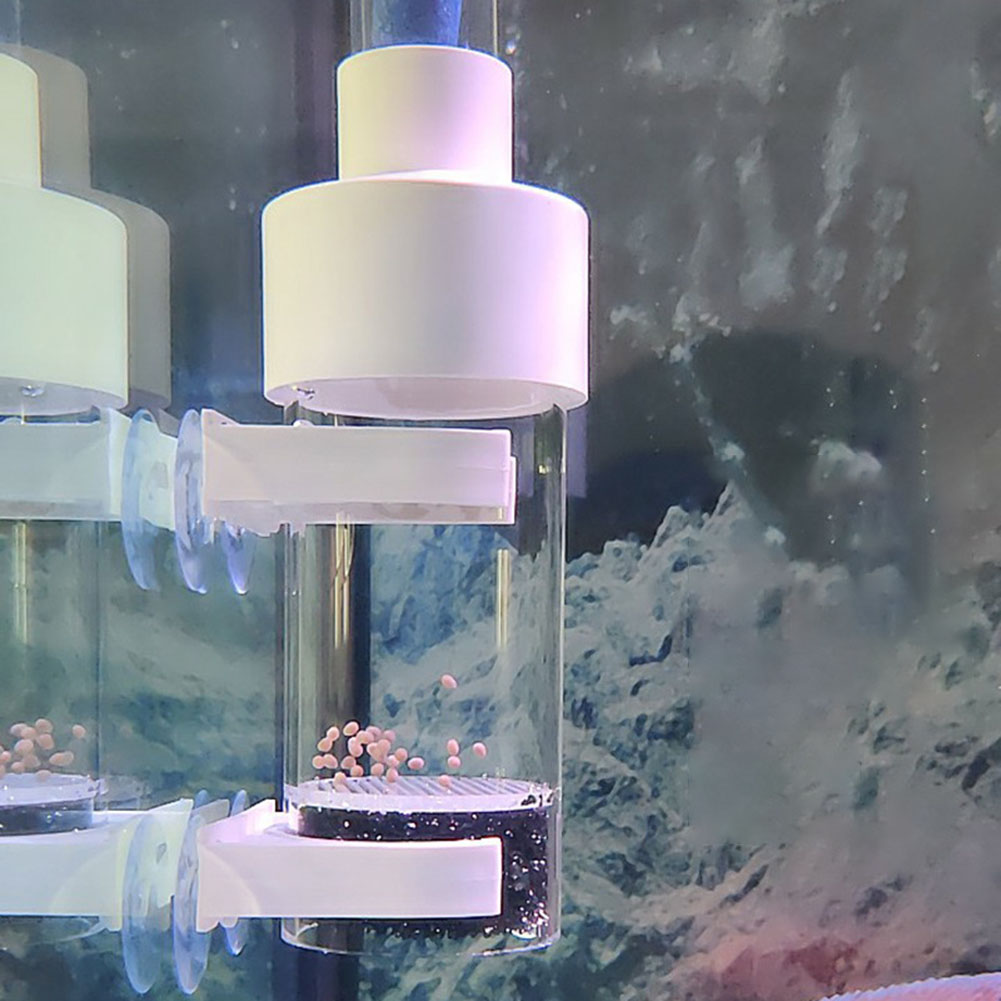 Incubadora de copo de 40mm, in - Aquarium Fish Eggs avaliação e preço