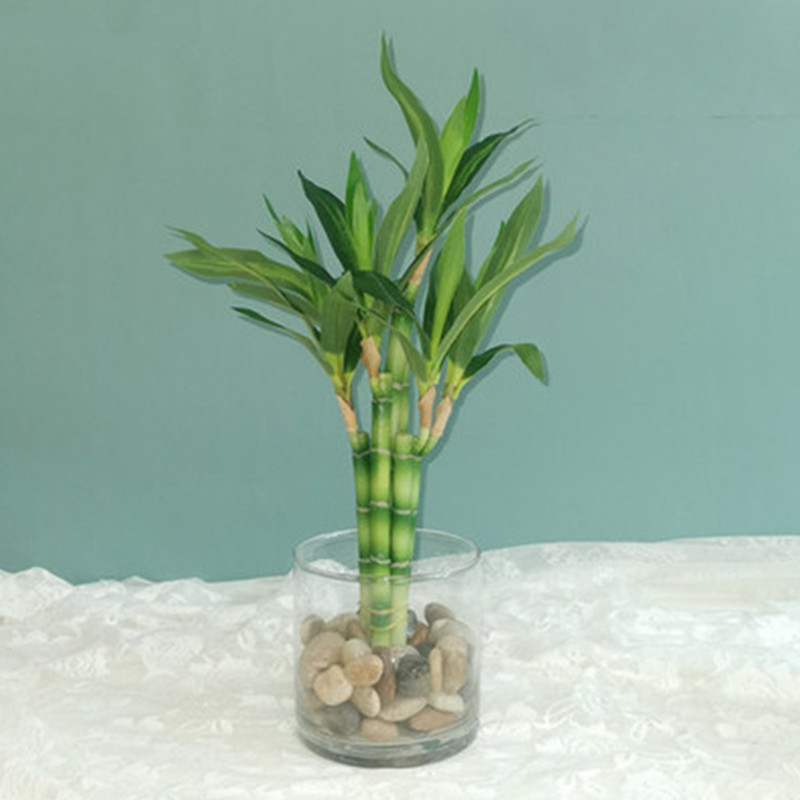 Novo 40cm rftificial sorte bam - Aquarium Fish Fishing avaliação e preço