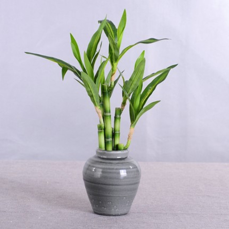 Novo 40cm rftificial sorte bam - Aquarium Fish Fishing avaliação e preço