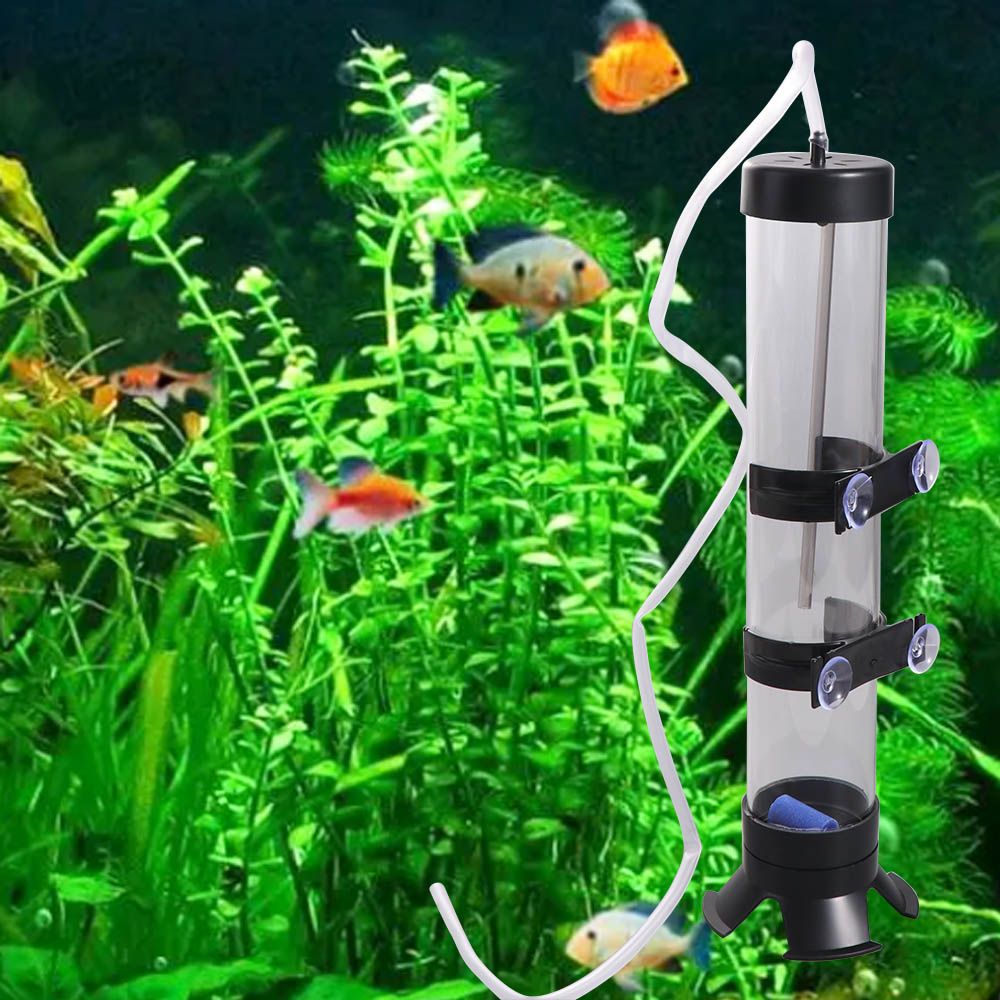 Incubadora de Ovos de Artemia  - Aquarium Fish Eggs avaliação e preço