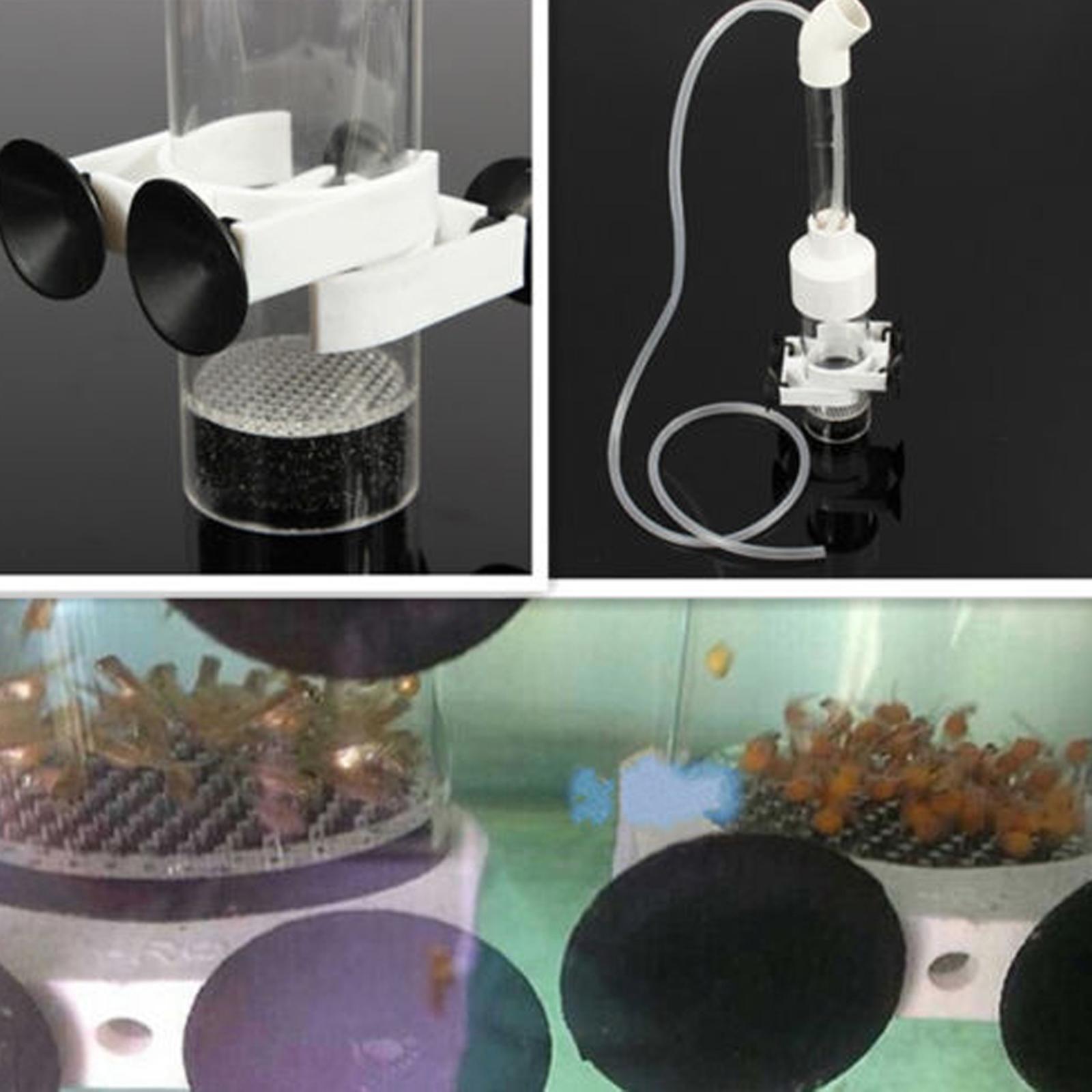 Incubadora de Ovos de Peixe em - Aquarium Fish Eggs avaliação e preço