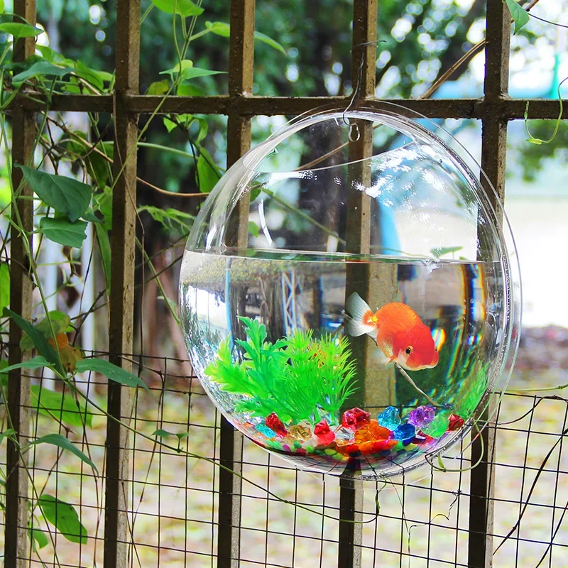 Pinsjar acrílico tigela de pei - Aquarium Fish Background avaliação e preço