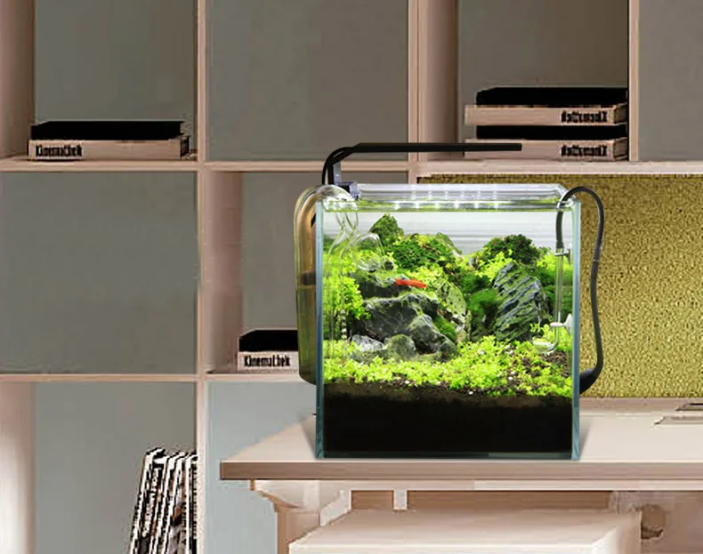 Chihiros Série C ADA Estilo Pl - Aquarium Fish Background avaliação e preço