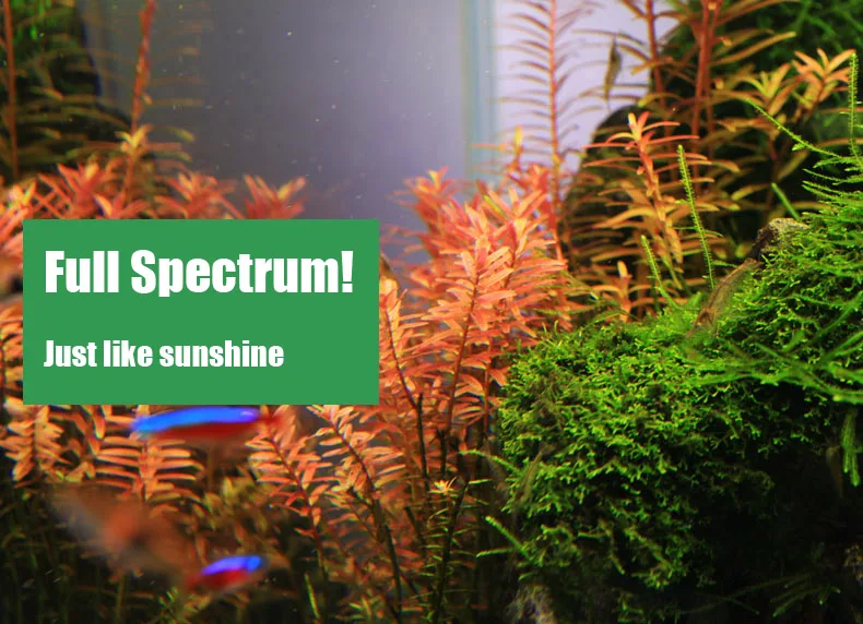 Chihiros Série C ADA Estilo Pl - Aquarium Fish Background avaliação e preço
