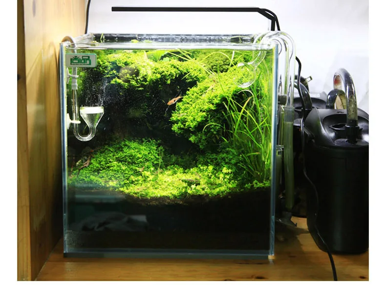 Chihiros Série C ADA Estilo Pl - Aquarium Fish Background avaliação e preço