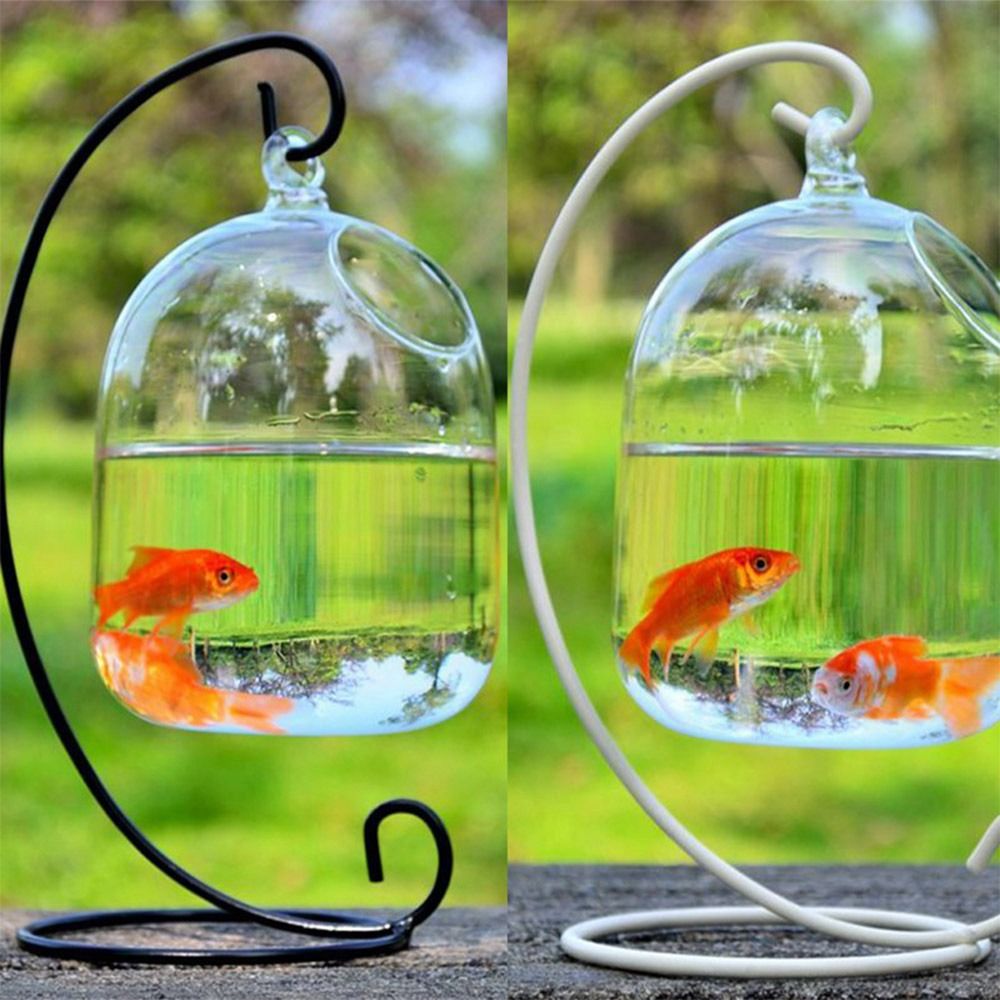 Decoração de Aquário Suspensa  - Aquarium Fish Background avaliação e preço