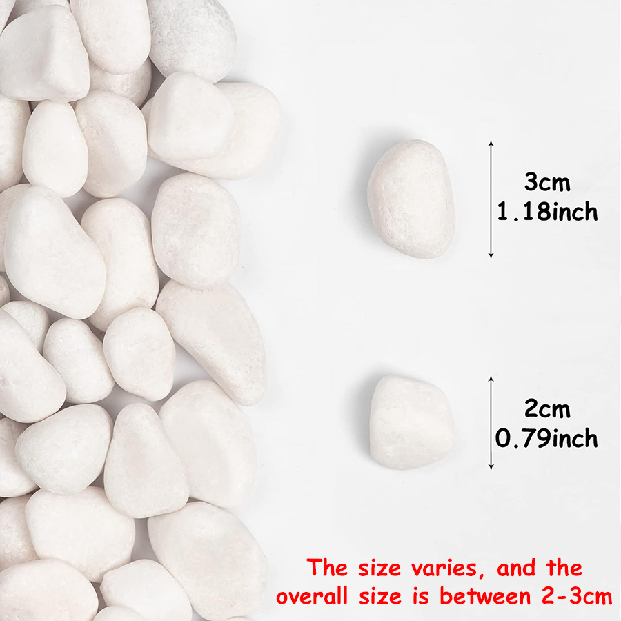200/400g branco alto polido se - Aquarium Fish Fishing avaliação e preço