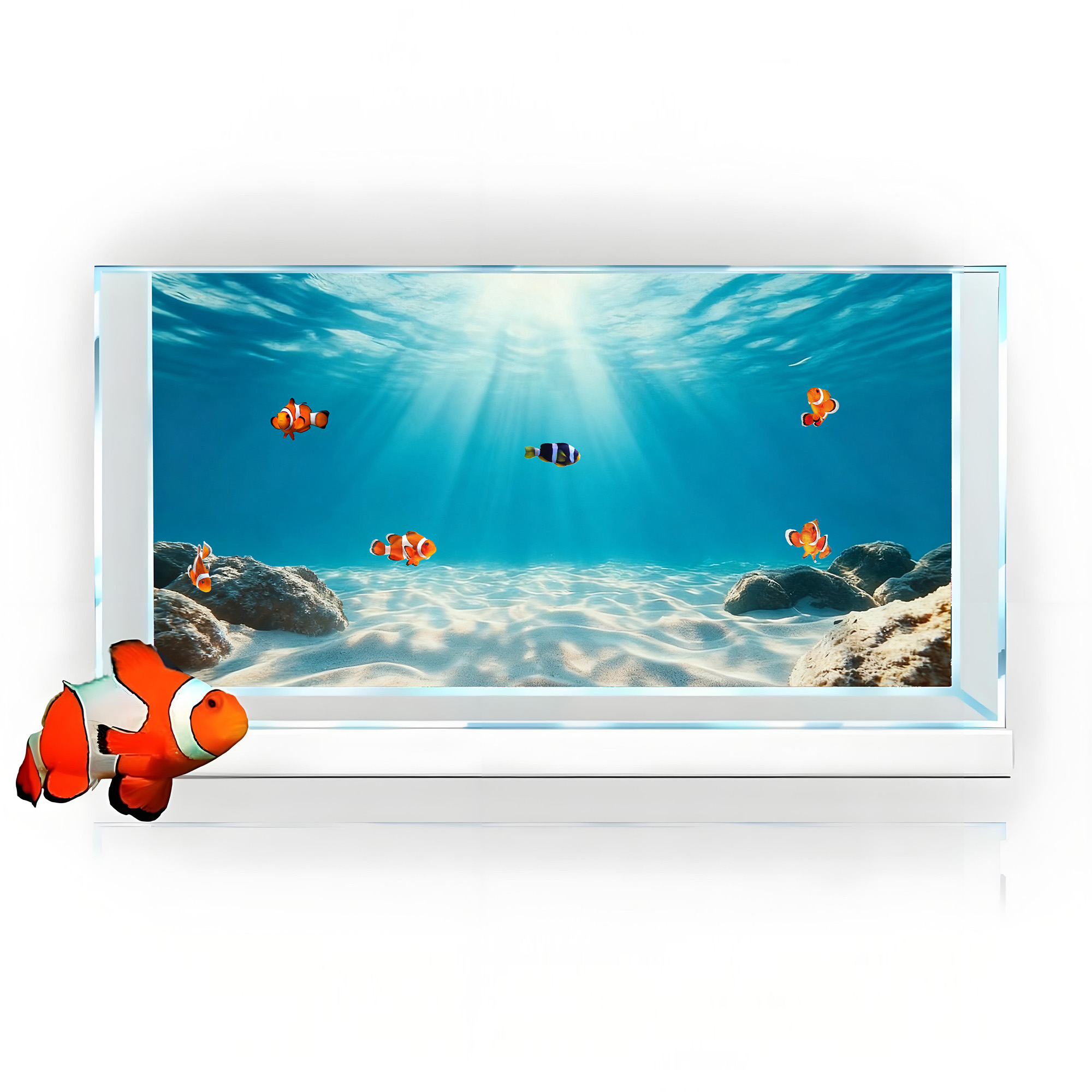 Areia Azul Transparente, Pintu - Aquarium Fish Background avaliação e preço