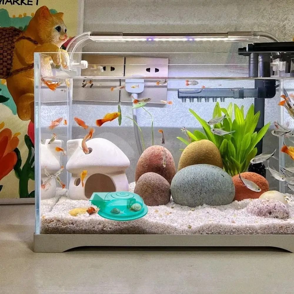 Armadilha para Caracóis de Aqu - Aquarium Fish Eggs avaliação e preço