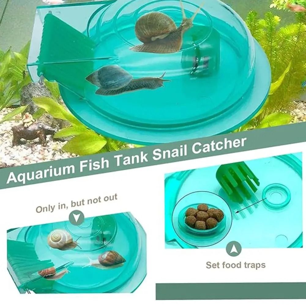 Armadilha para Caracóis de Aqu - Aquarium Fish Eggs avaliação e preço