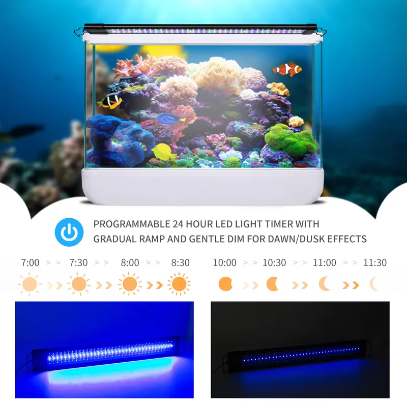 Luz LED Programável para Aquár - Aquarium Fish Lamp avaliação e preço