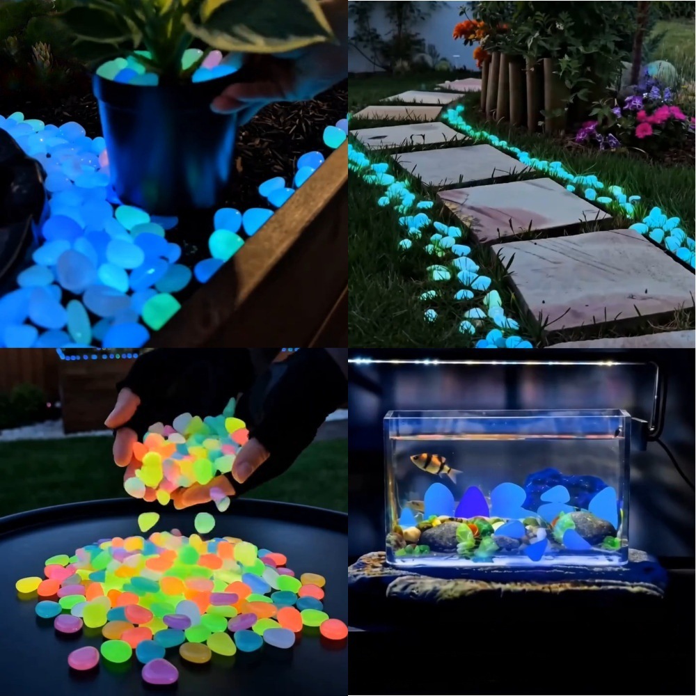 Pedras luminosas coloridas que - Aquarium Fish Colorful avaliação e preço