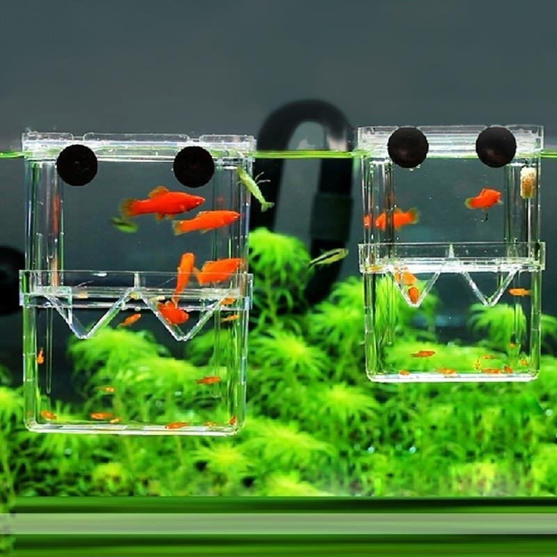Multifuncional aquário de peix - Aquarium Fish Background avaliação e preço