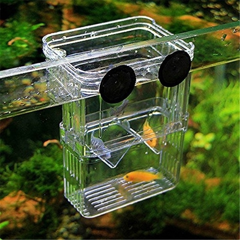Multifuncional aquário de peix - Aquarium Fish Background avaliação e preço