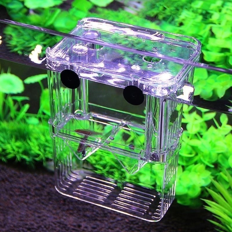 Multifuncional aquário de peix - Aquarium Fish Background avaliação e preço