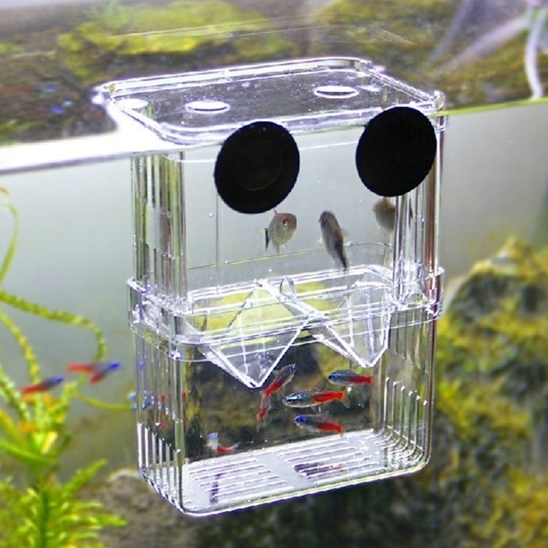 Multifuncional aquário de peix - Aquarium Fish Background avaliação e preço