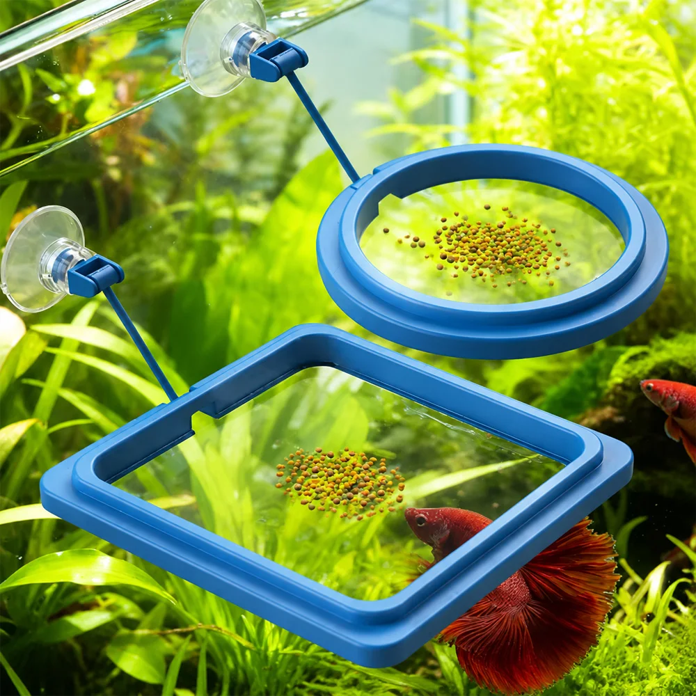 Alimento para Peixe Betta em M - Aquarium Fish Eggs avaliação e preço