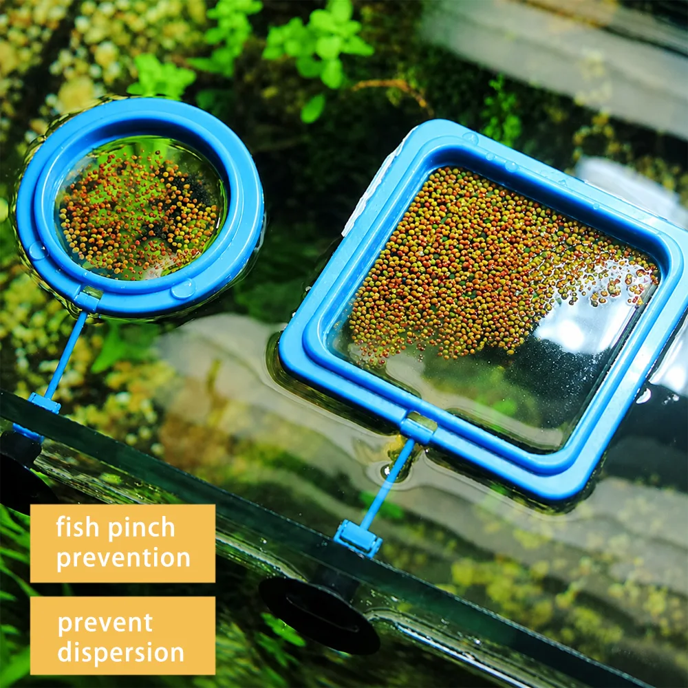 Alimento para Peixe Betta em M - Aquarium Fish Eggs avaliação e preço