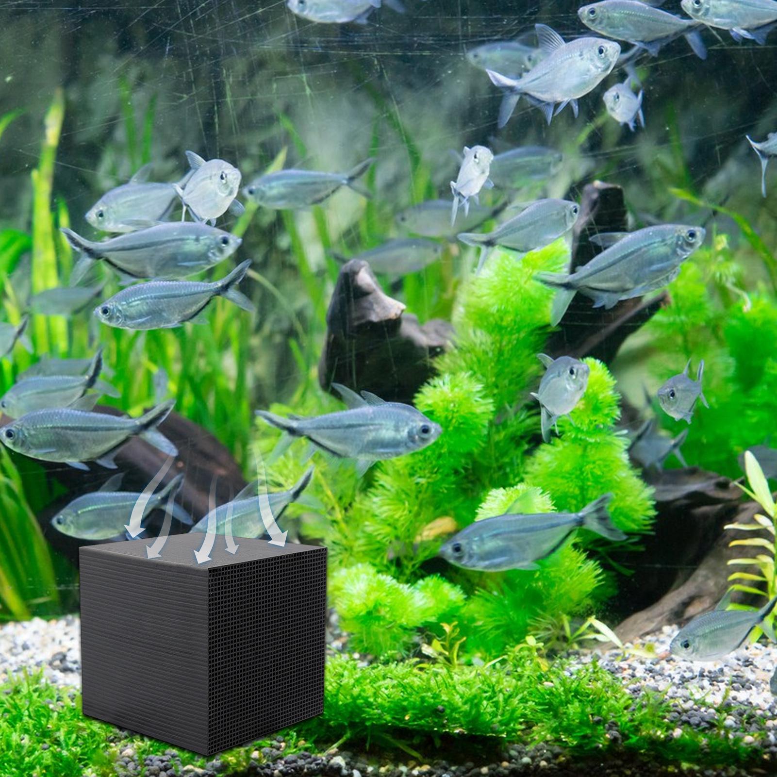 Cubo purificador de água para  - Aquarium Fish Background avaliação e preço