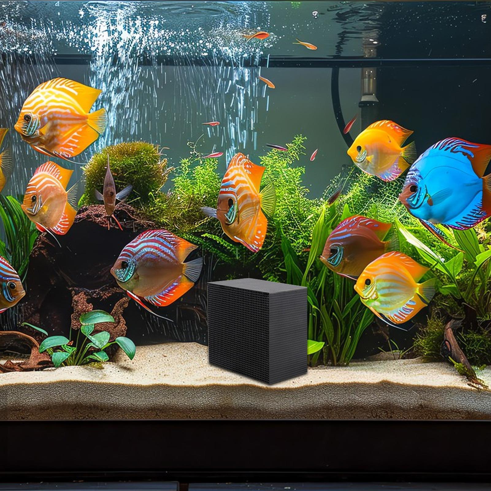 Cubo purificador de água para  - Aquarium Fish Background avaliação e preço