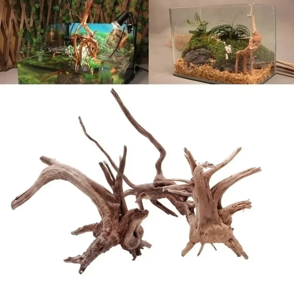 Decoração de Aquário em Madeir - Aquarium Fish Fishing avaliação e preço