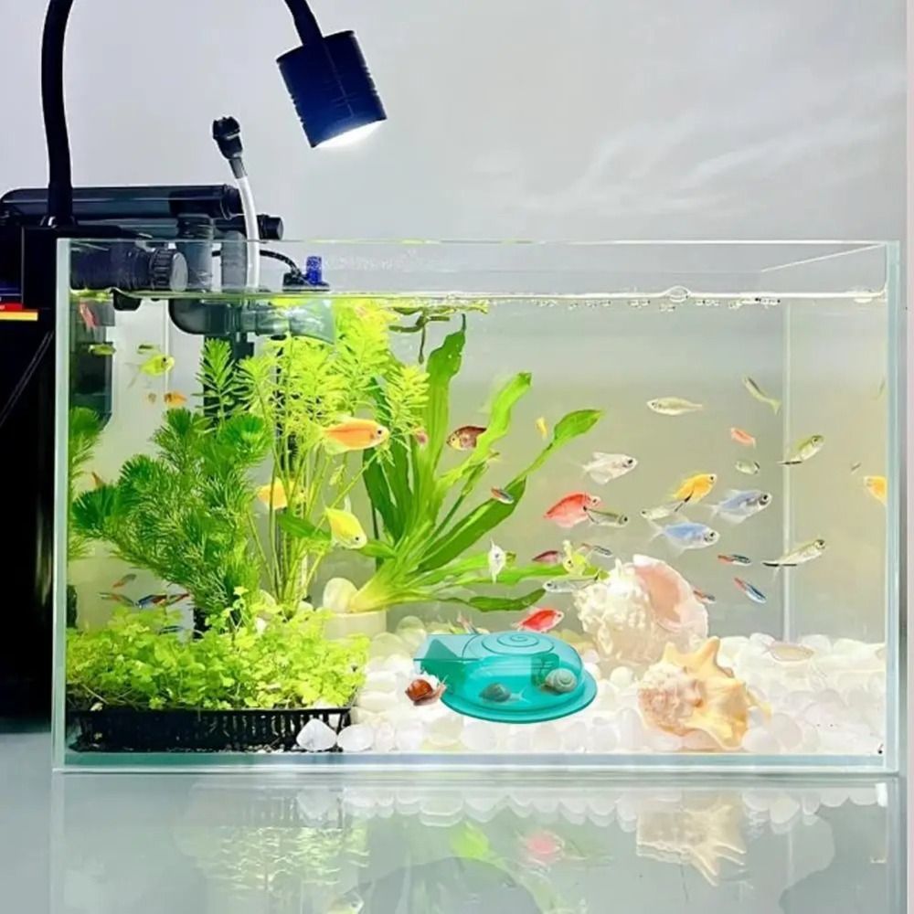 Armadilha para Caracóis de Aqu - Aquarium Fish Eggs avaliação e preço