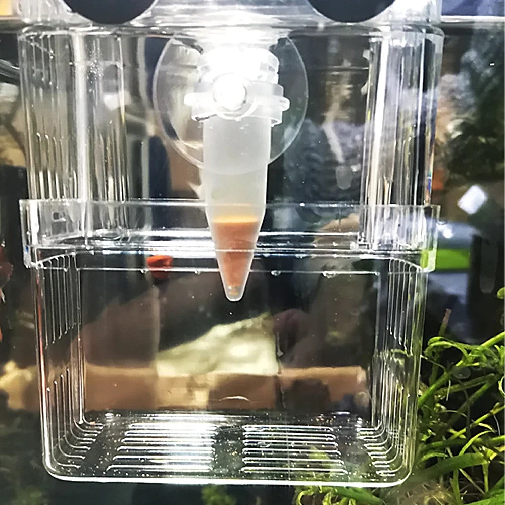 Alimentador automático de peix - Aquarium Fish Eggs avaliação e preço